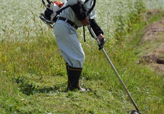 草刈り・園芸