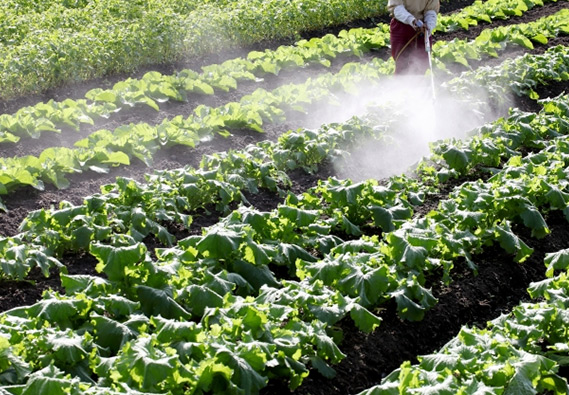 サービスの提供