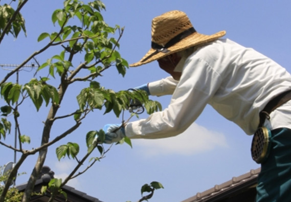 サービスの提供