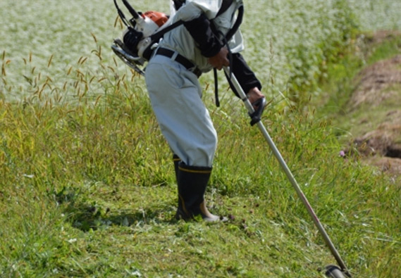 草刈り・芝刈り