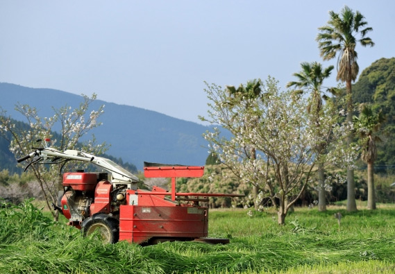 2. 個人宅・店舗のお庭や管理地まで幅広く対応
